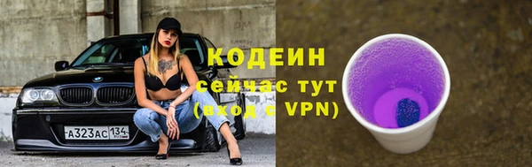 сатива Арсеньев