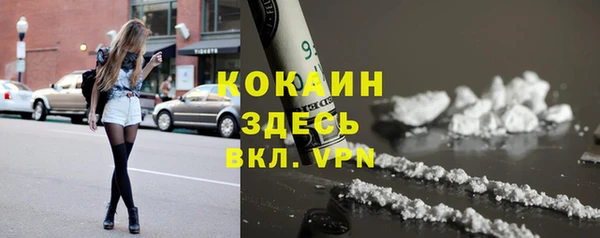 сатива Арсеньев