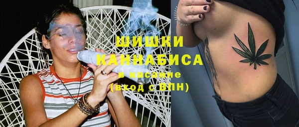 сатива Арсеньев