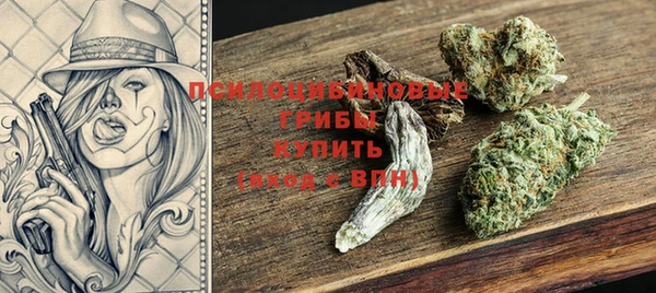 сатива Арсеньев