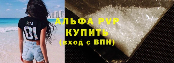 СК Аркадак